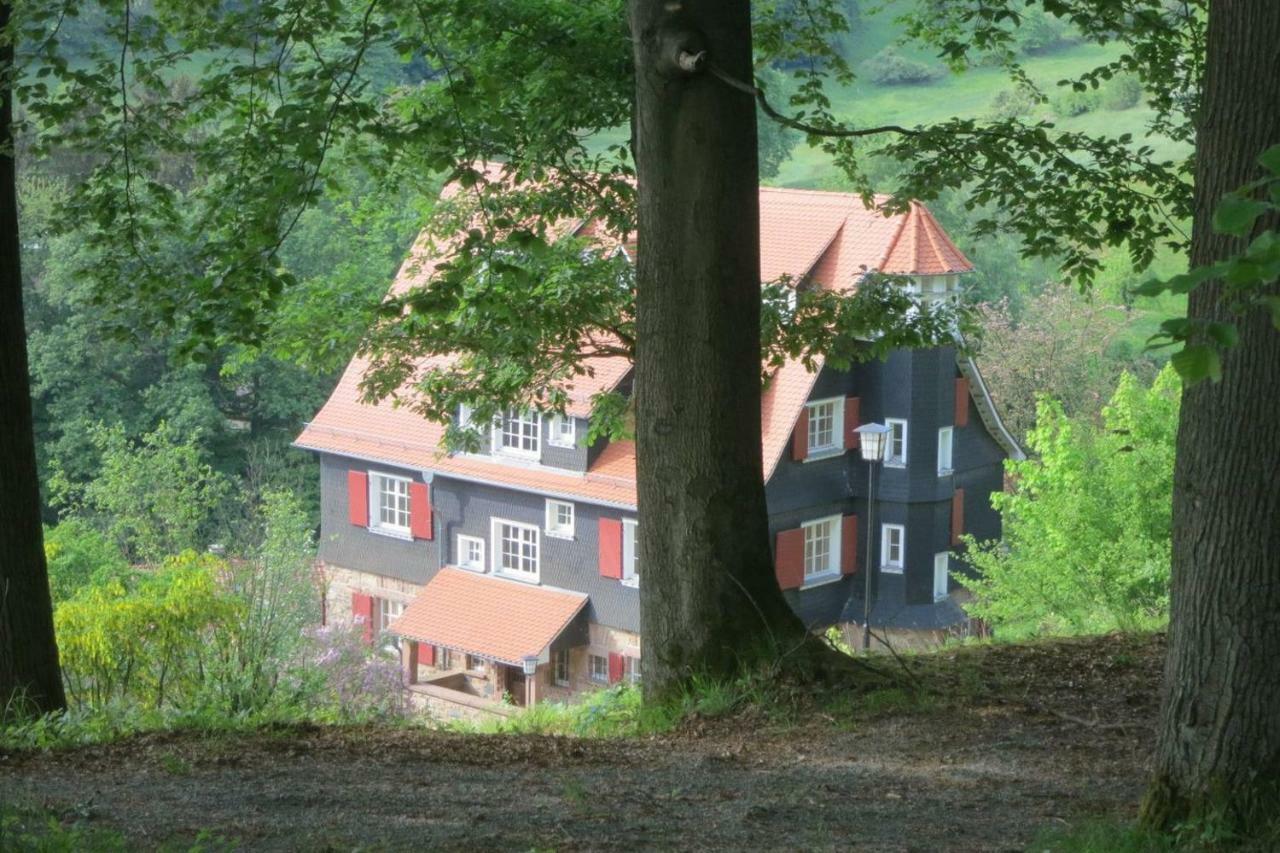 Panoramablick Appartement - Traumhaft! Ober-Hambach Bagian luar foto